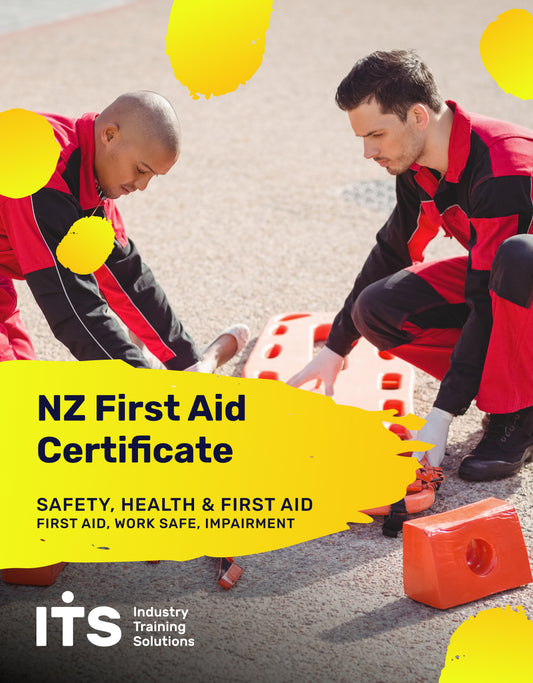 ACE - NZ First Aid Certificate - Palmerston North